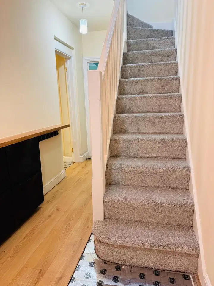 Flooring and carpet project photo 11