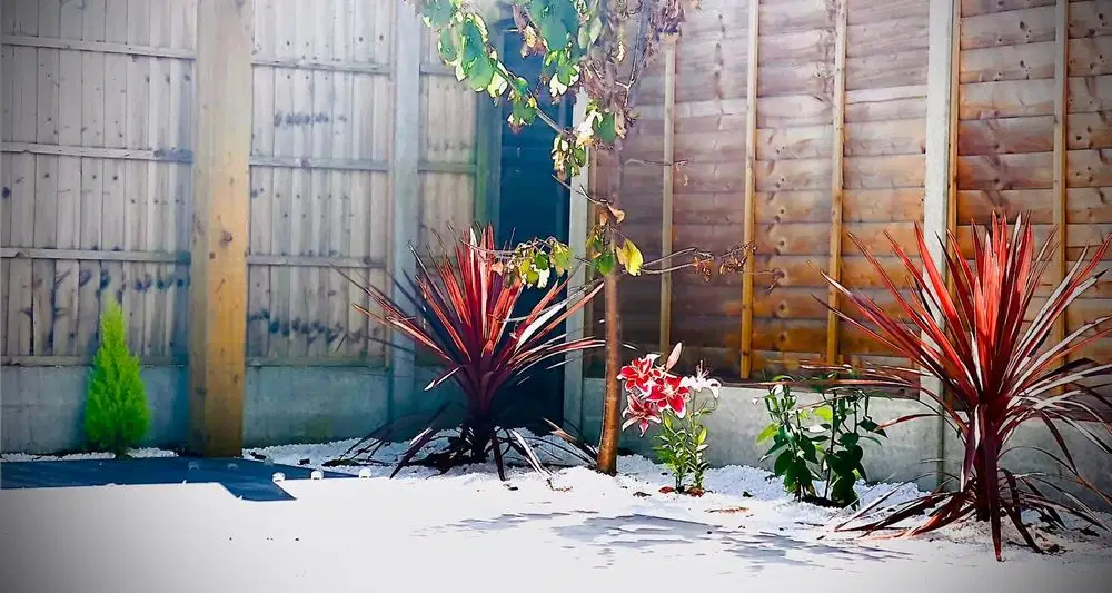 Garden project 1